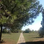 Apartment Pineta - Due Matrimoniali Fronte Mare