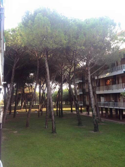 Pineta - Due Matrimoniali Fronte Mare Lido di Jesolo